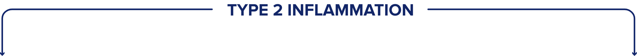 TYPE 2 INFLAMMATION
